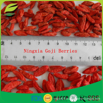 Bayas de Goji de la hierba china (gouqi) / wolfberry